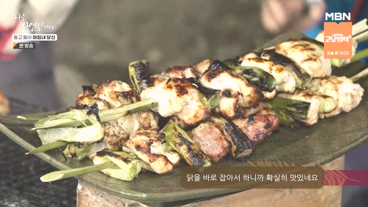 나는 자연인이다.E577.231026p-NEXT.mp4_20231026_200404.715.jpg