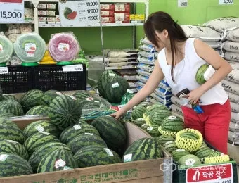 맛있는 수박 고르는법 5가지 feat 좋은 수박 암수 구별법_6