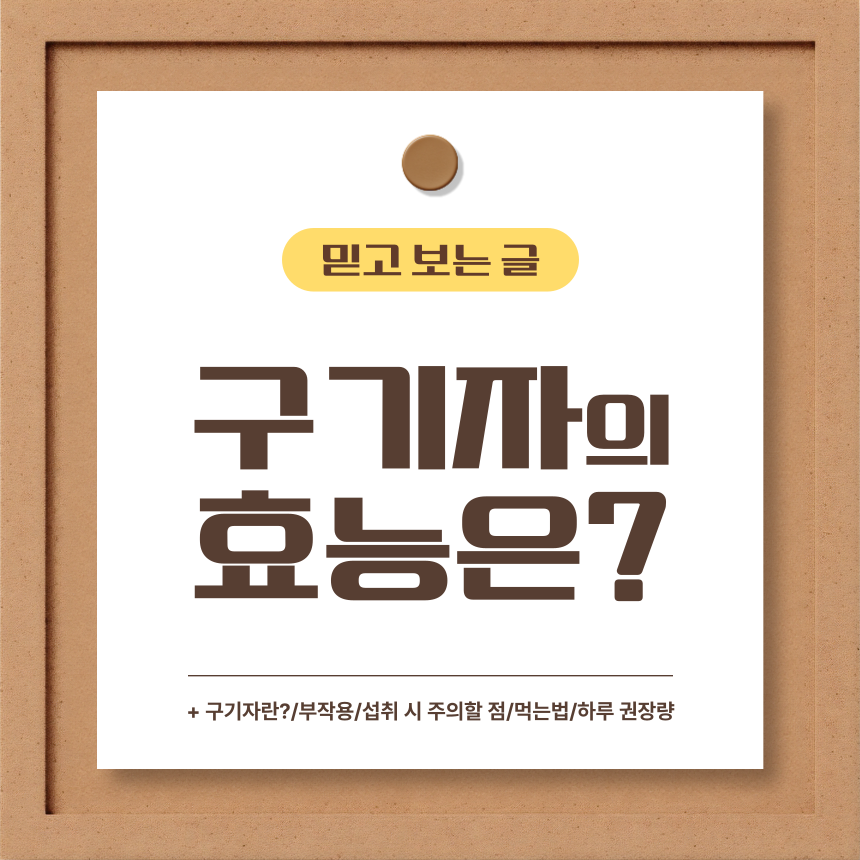  구기자의 효능은?