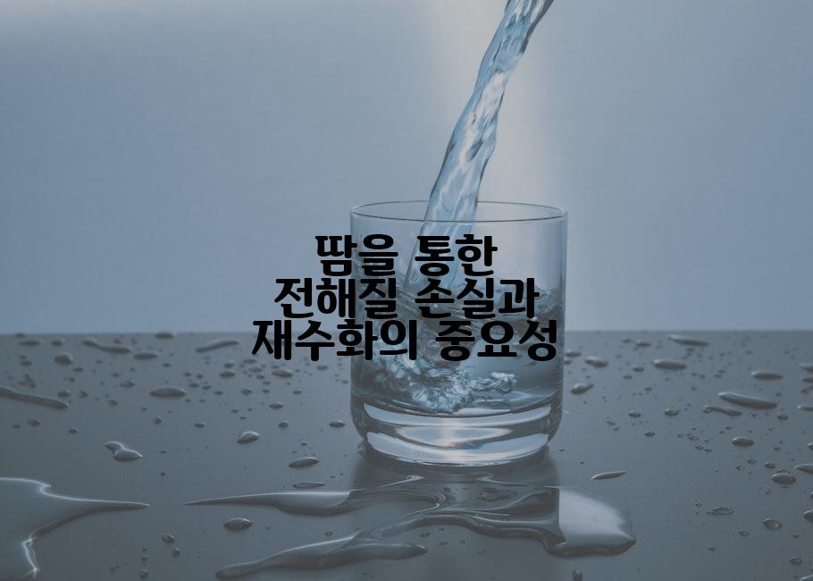 땀을 통한 전해질 손실과 재수화의 중요성