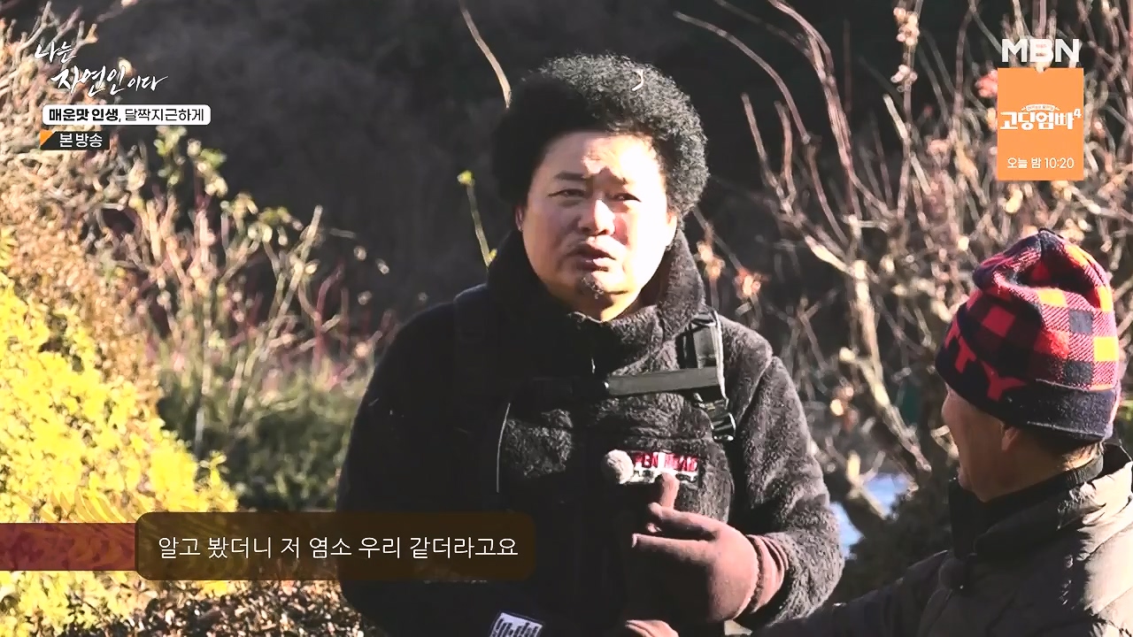 나는 자연인이다.E585.231221p-NEXT.mp4_20231221_200828.518.jpg