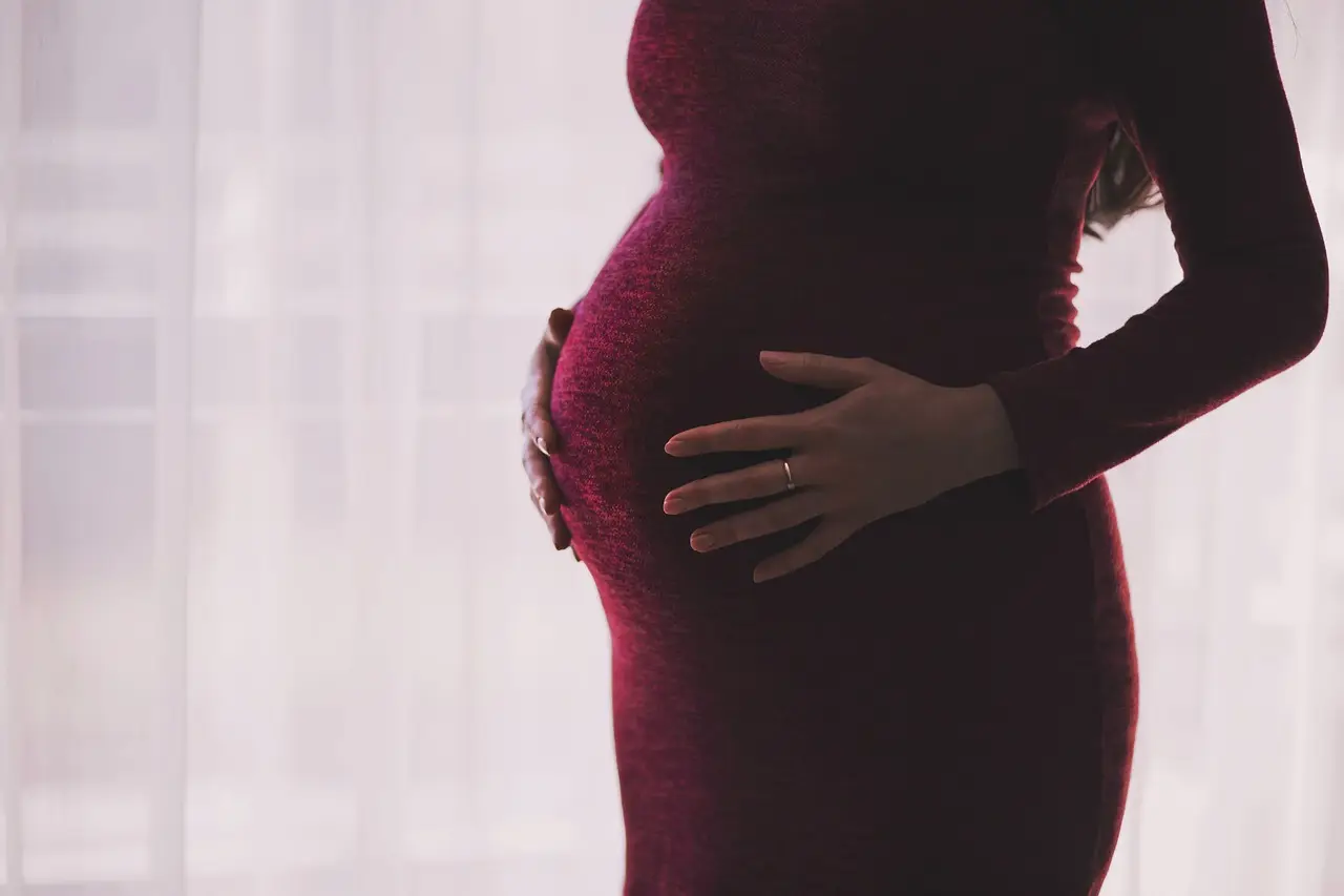 자주색 옷을 입은 여자가 망사커튼앞에서 임신한배를 두손으로 어루만지는 모습