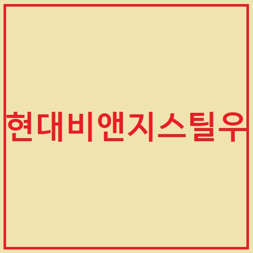  현대비앤지스틸우 주가, 전망 (004565)