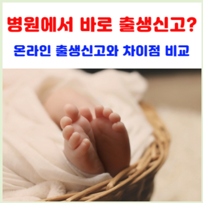 온라인-출생신고