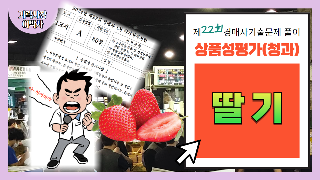  [유튜브 회원전용] 고마해라~ 많이 연습했다 아이가~ "경매사실기 실전연습(3)"