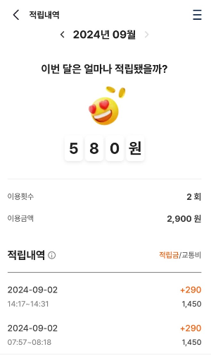 적립내역