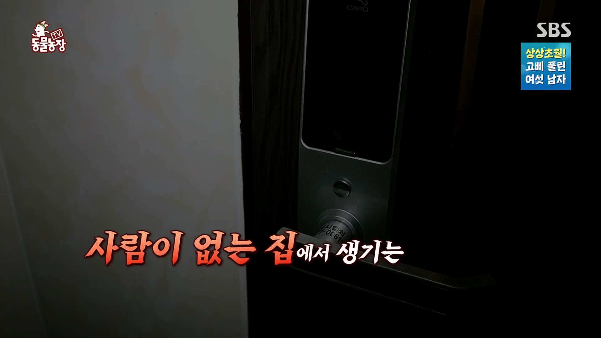 TV 동물농장.E1109.230226p.H264-F1RST.mp4_20230226_161909.431.jpg