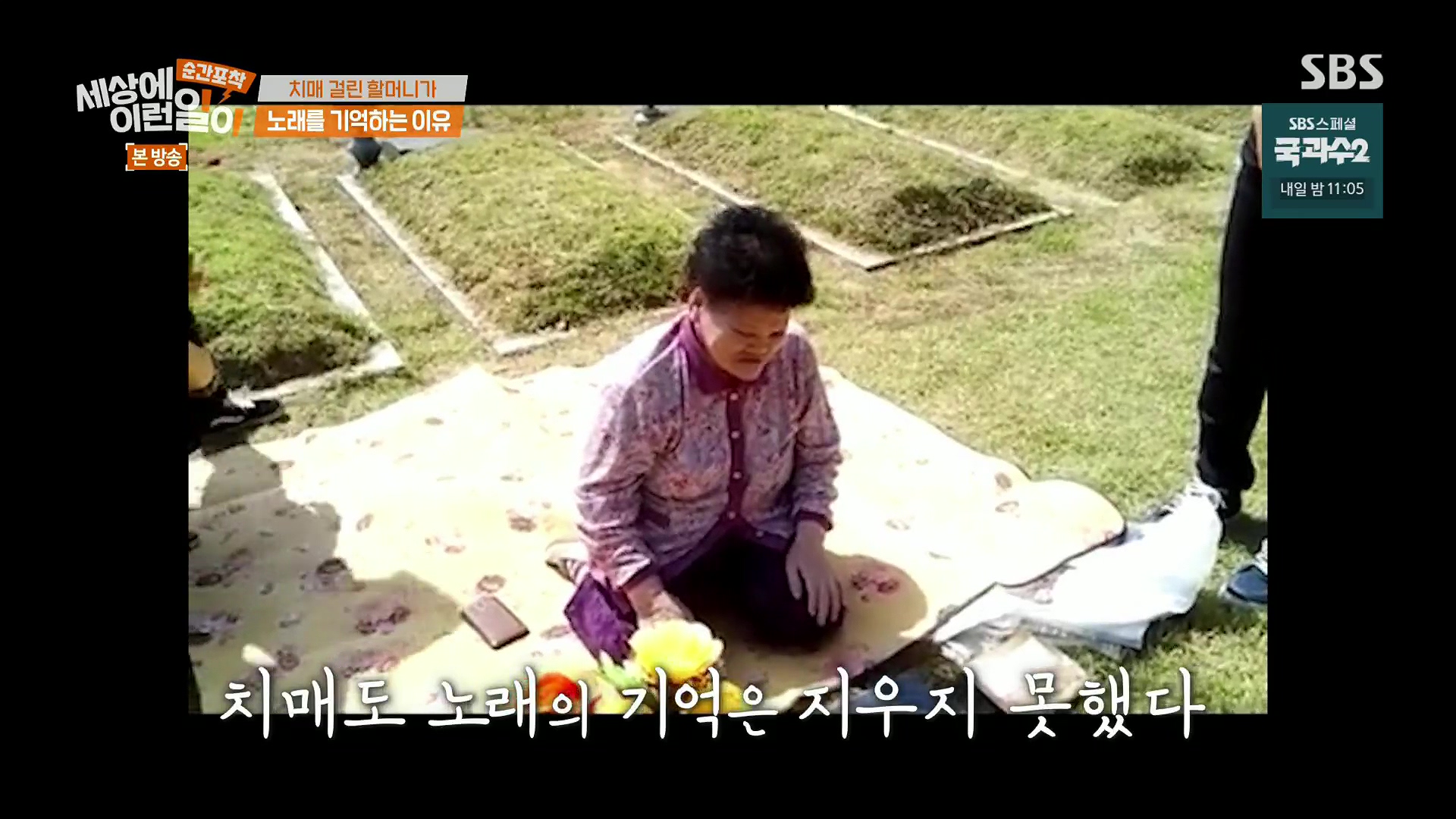 순간포착 세상에 이런일이.E1245.230909p.H264-F1RST.mp4_20230910_170926.726.jpg