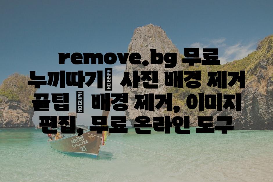샘플 (80)