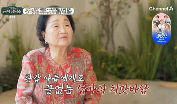 금쪽상담소 배도환