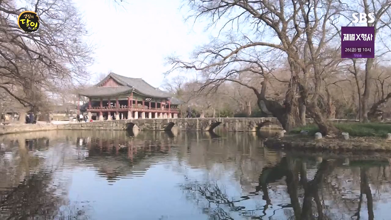 생활의 달인.E918.240109p-NEXT.mp4_20240109_200140.063.jpg