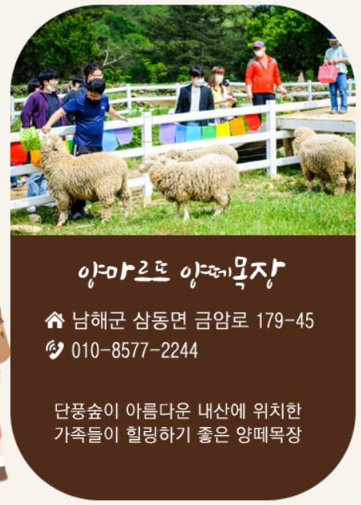 남해-양떼목장-양마르뜨언덕
