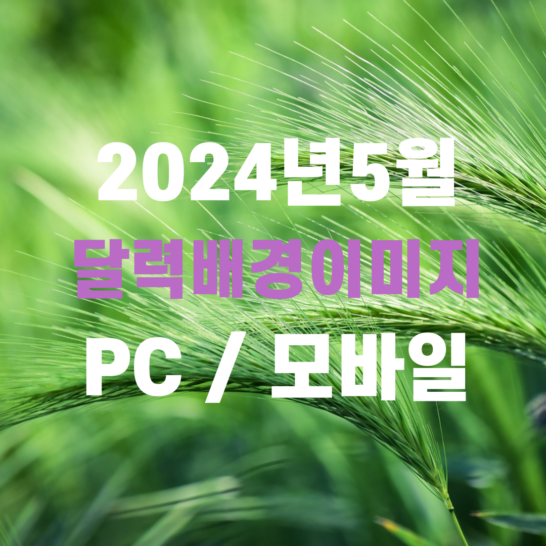 2024년 5월 달력 배경화면 이미지 성경말씀