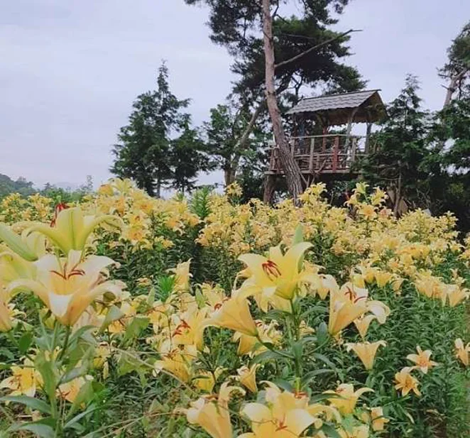 달빛소리수목원