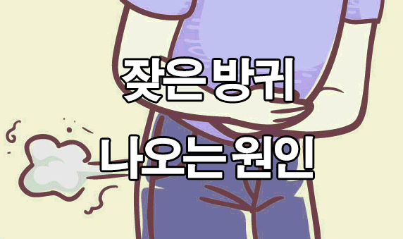  방귀가 자주 많이 나오는 이유 : 계속 나와요