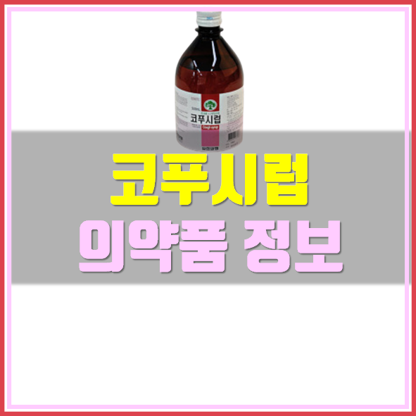  코푸시럽 진해거담제 복용법