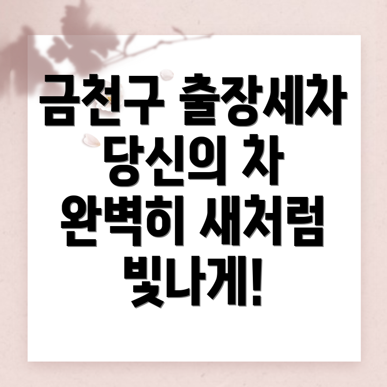 출장세차