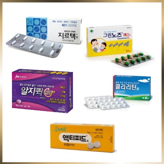 비염약 인기순위