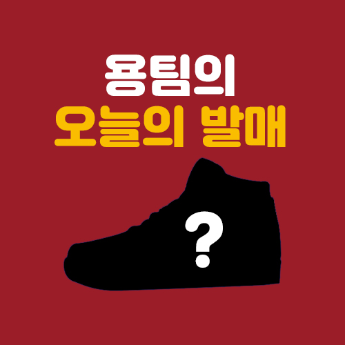  [오늘의 발매] 카시나_나이키 덩크 "FREE.99 / 범고래" 2종 드로우 응모 (내일 08:00 까지)
