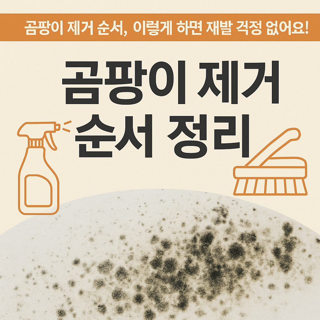 곰팡이 제거 순서
