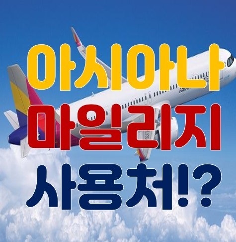 아시아나항공 마일리지 사용처