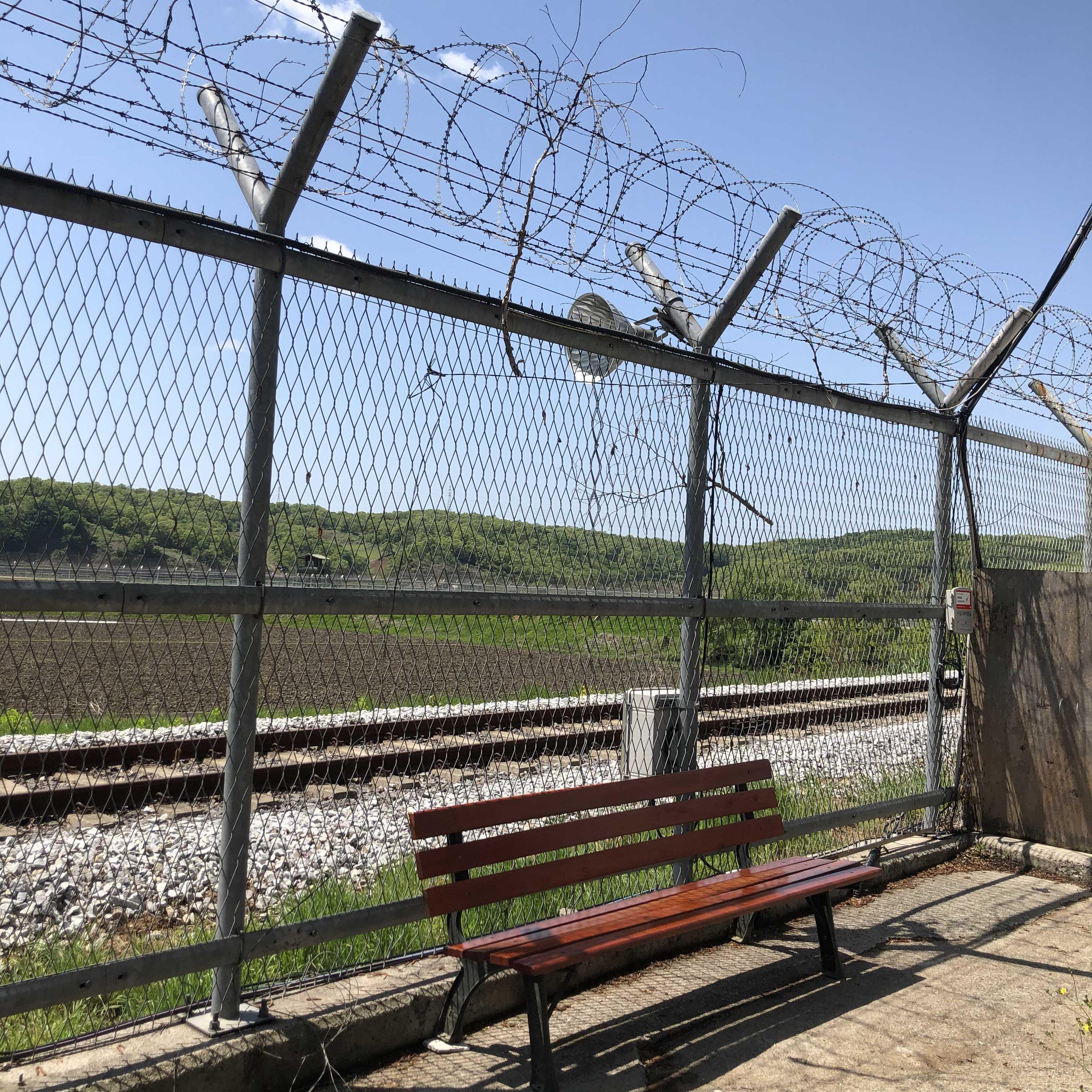  [파주 카페] 임진각 DMZ 포비카페