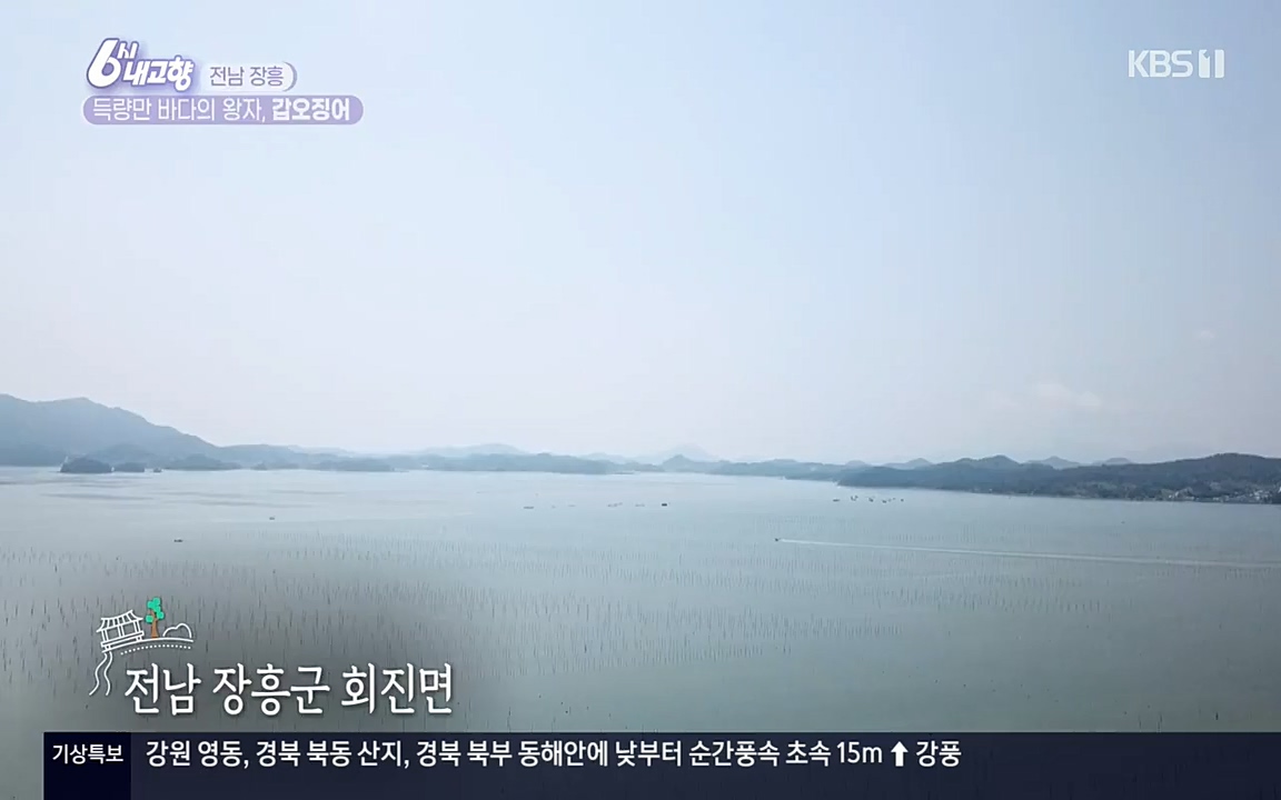 6시 내고향.E7523.220421p-NEXT.mp4_20220507_181110.561.jpg