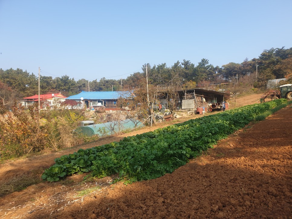 큰아버지 사주신 "태영갈비" 8