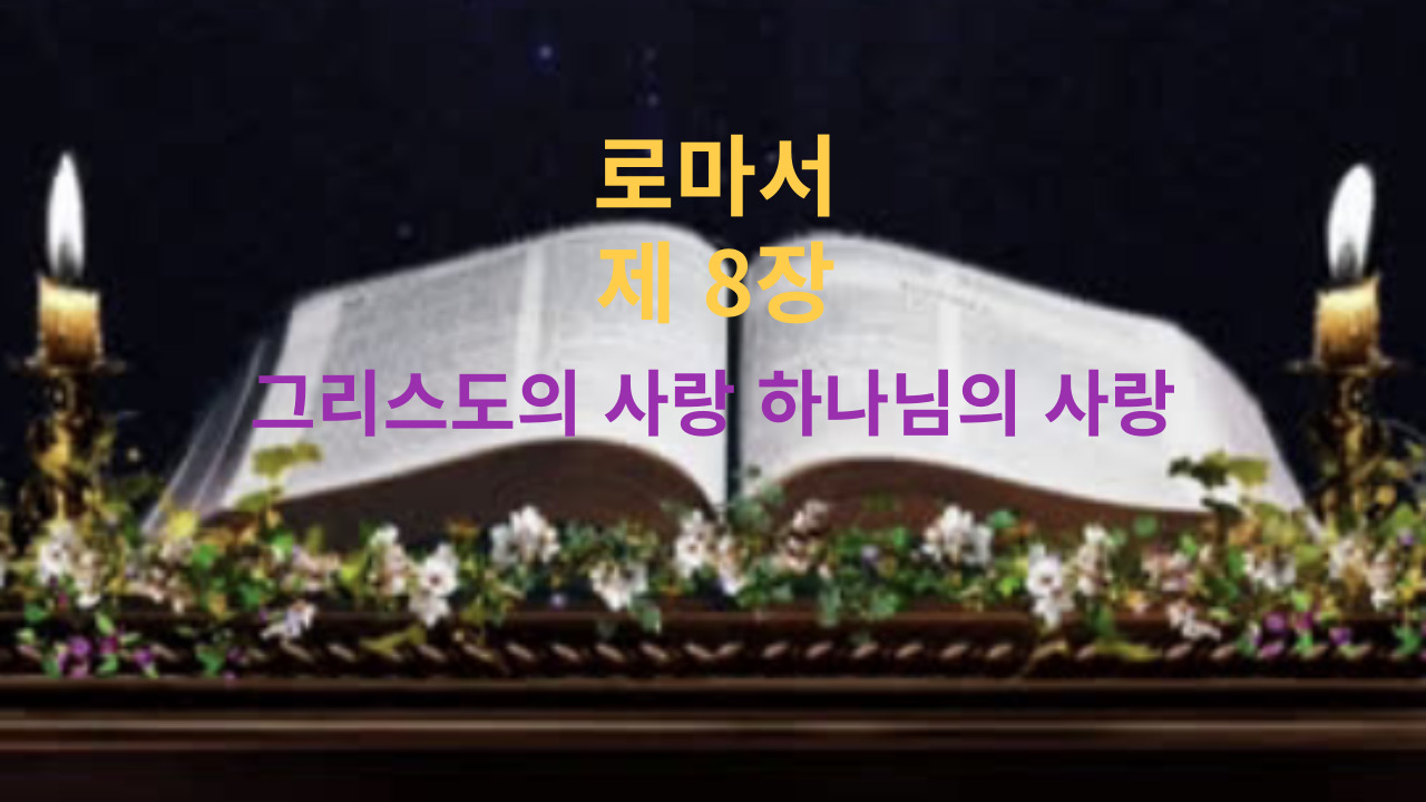 로마서 8장 그리스도의 사랑 하나님의 사랑