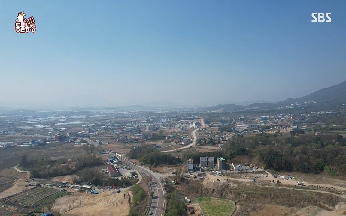 TV 동물농장.E1068.220509p-NEXT.mp4_20220508_173816.937.jpg