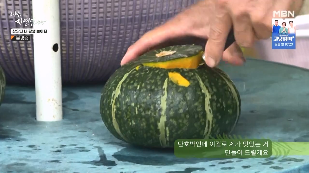 나는 자연인이다.E569.230831p-NEXT.mp4_20230831_201810.266.jpg