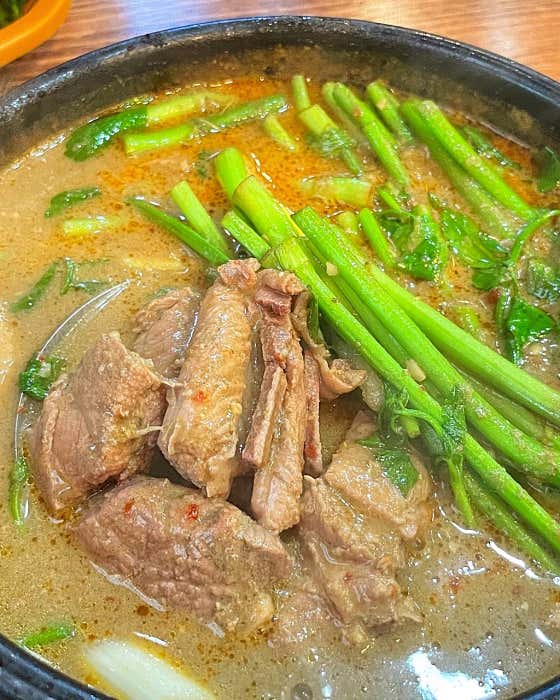 남도오리 이미지