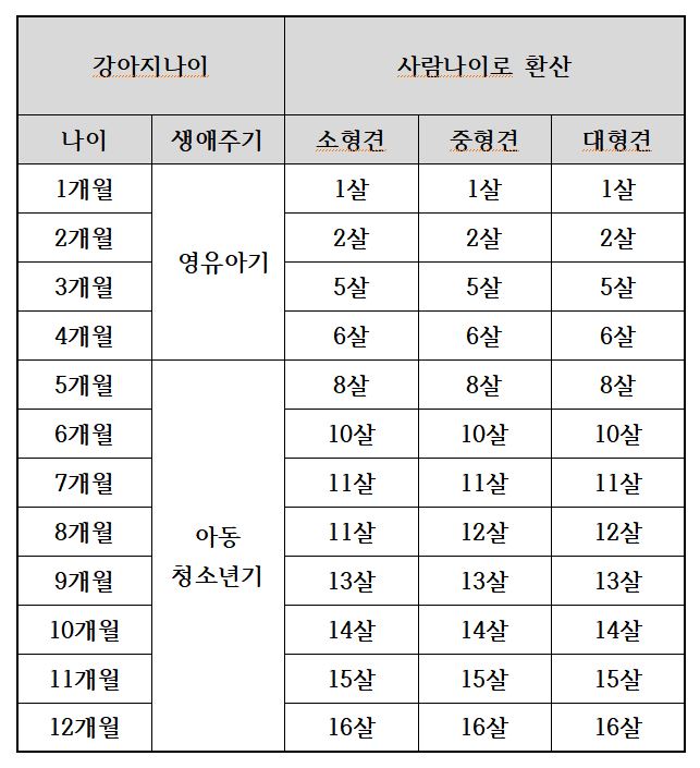 강아지-나이