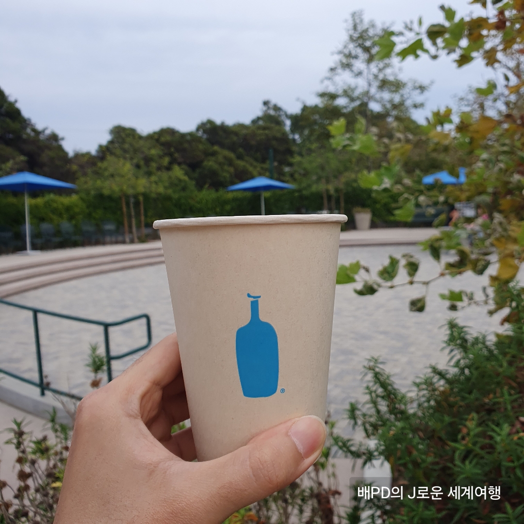 말리부 여행 코스 추천:LA에서 가장 예쁜 블루보틀 카페 방문기