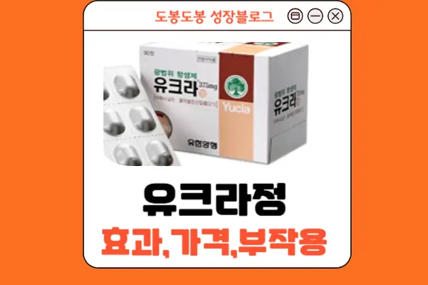 유크라정 안내 이미지