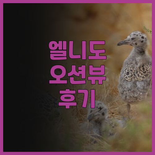 엘니도 비치 호텔 후기! 환상적인 오