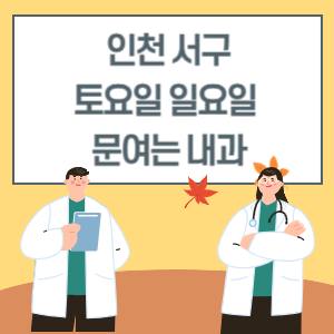 인천 서구 토요일 일요일 내과 진료 병원 리스트