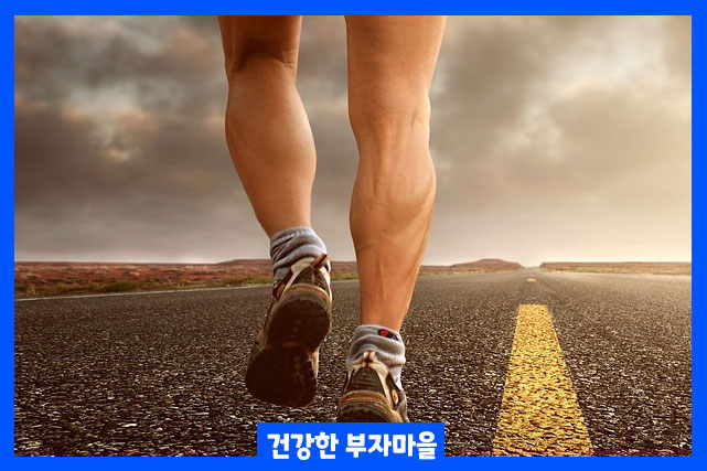 하지정맥류 치료방법 생활 습관 개선으로 완화 가능 - 하지정맥류 치료방법 하지정맥류 치료방법 생활 습관 개선으로 완화 가능 - 하지정맥류 치료방법