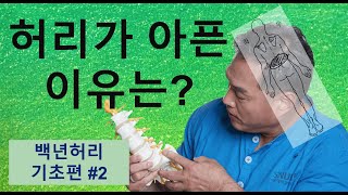 백년 허리 기초편 (정선근TV 허리건강 상식) - 총 48 강