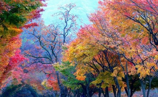  축복하며 살게 하소서, 용서, 열매 맺는 삶, 예수님과의 이중주 CBS 제공
