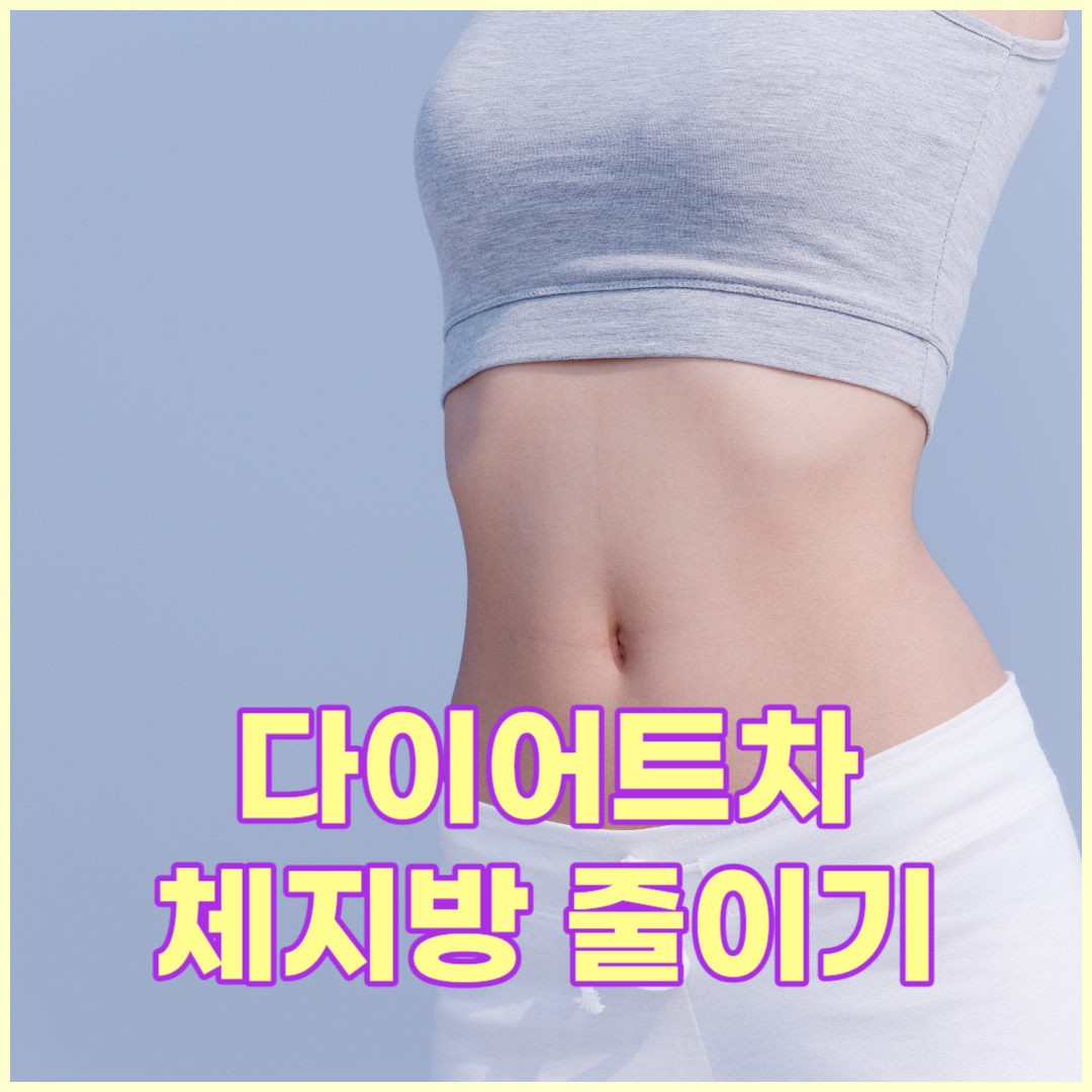 다이어트차로 체지방줄이기