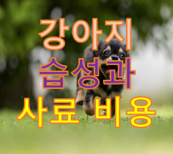  강아지의 습성과 사료 비용