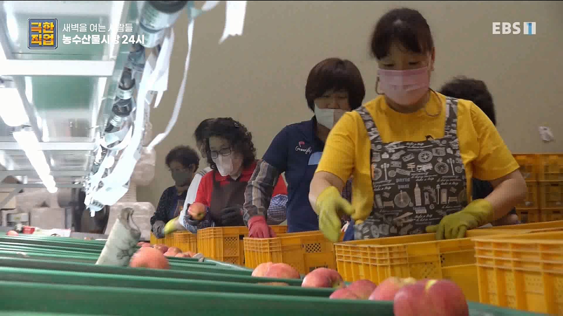 농수산물 시장 24시.mp4_20221020_161728.069.jpg