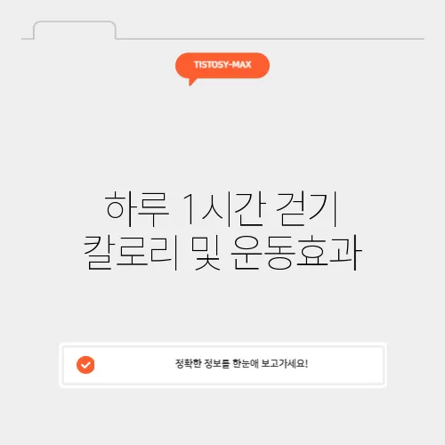 하루 1시간 걷기 칼로리 및 운동효과