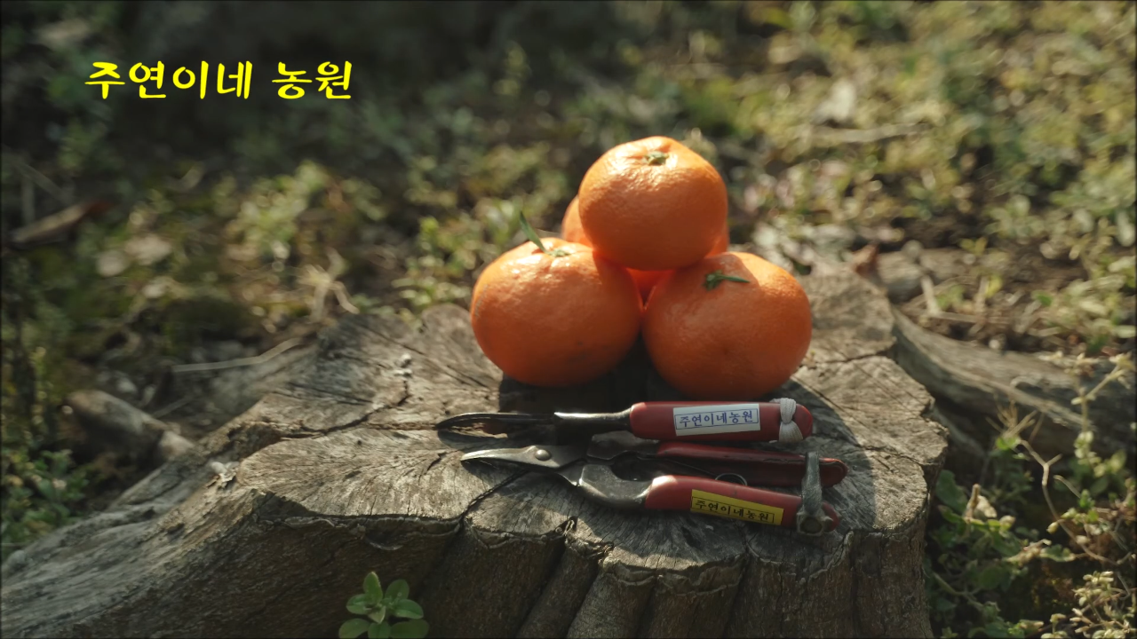 주연농장 이미지