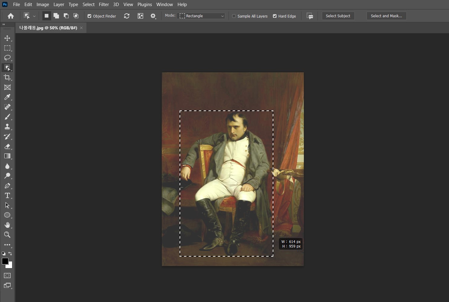 포토샵 Object Selection Tool 선택