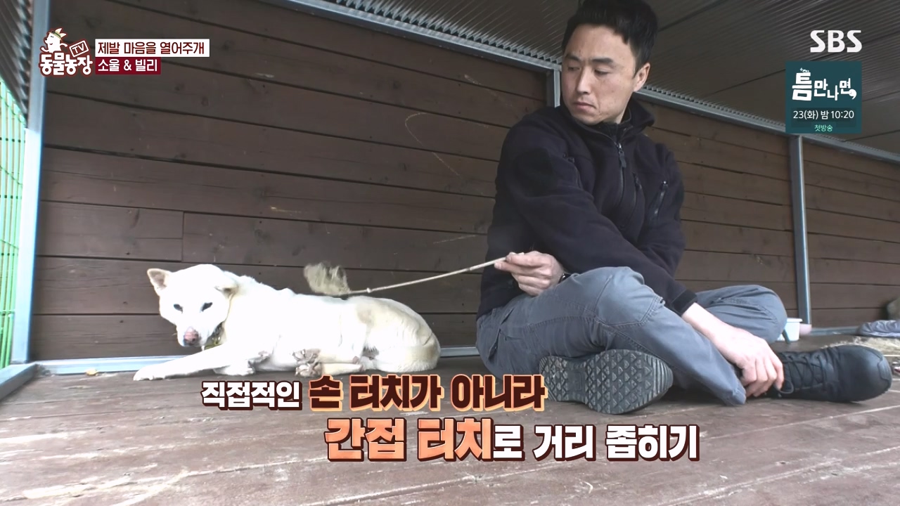 TV 동물농장.E1167.240415p-NEXT.mp4_20240414_160937.945.jpg