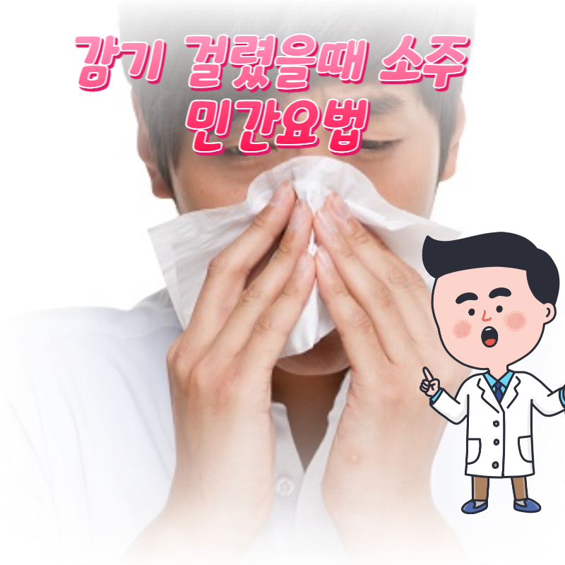 감기 걸렸을때 소주 민간요법 오해와 진실