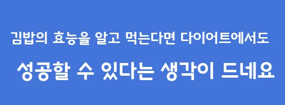 김밥의 효능을 알고 먹는다면 다이어트에서도 성공할 수 있다는 생각이 드네요