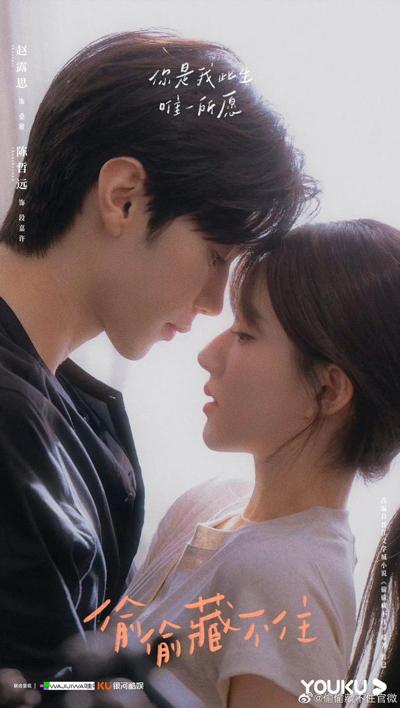  중드) 투투장부주 (偷偷藏不住. Hidden Love/조로사,진철원 주연/등장인물, 줄거리, 영상. 한국스트리밍)
